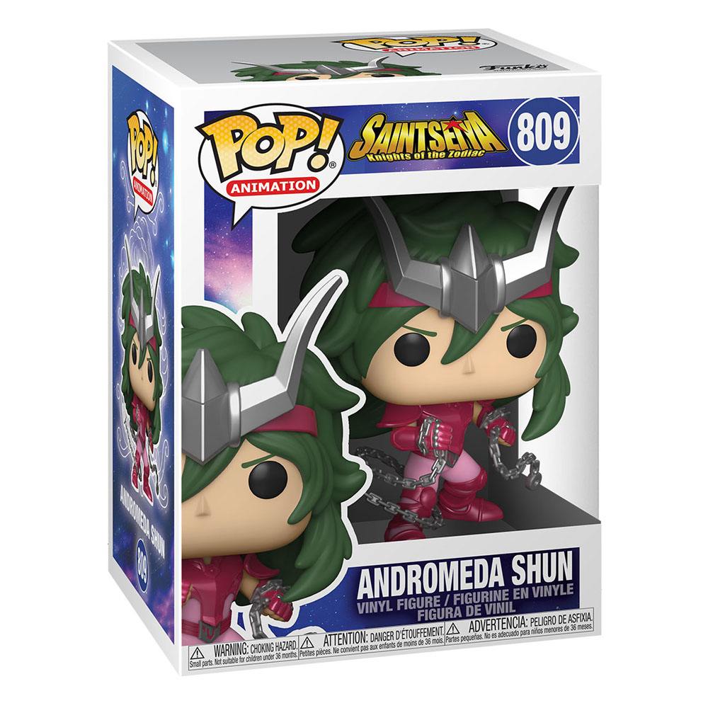 Saint Seiya - Andromeda Shun #809